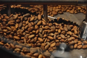 Cocoa beans