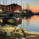 The Old Port