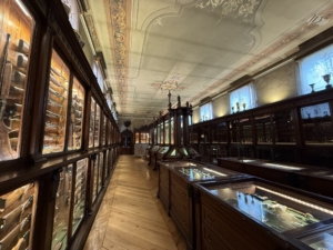 The Beretta firearms collection