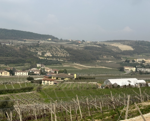 Valpolicella 3