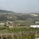 Valpolicella 3